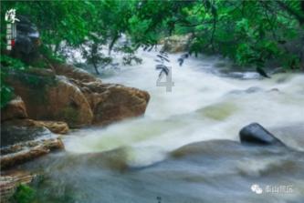 杨浦这所高中开展工程竞技,聚焦学生培养“工程素养”